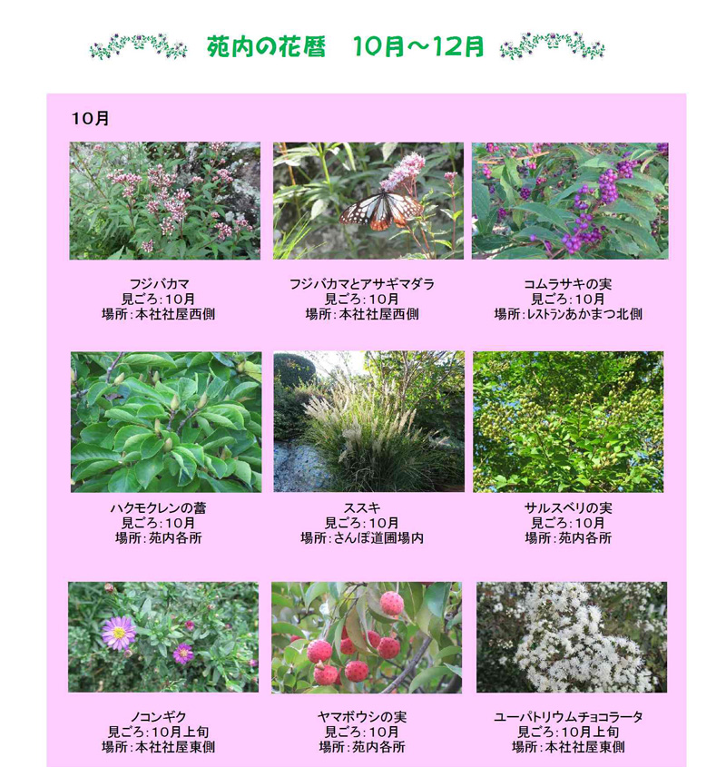 10月-1