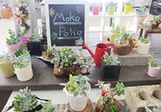 植物やグリーンに合う雑貨の販売