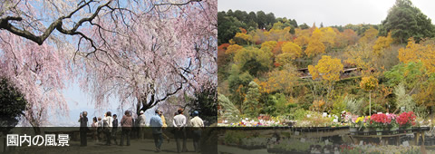 園内の風景