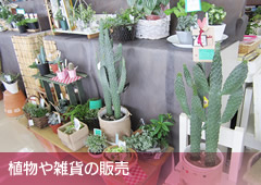 植物や雑貨の販売