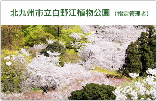 北九州市立白野江植物公園（指定管理者）