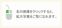 左の画像をクリックすると、拡大写真をご覧になれます。