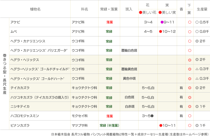 主なつる植物とその特性（壁面緑化推奨種）